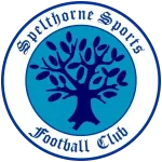 Spelthorne Sports